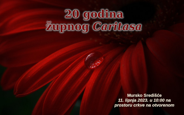 monografija